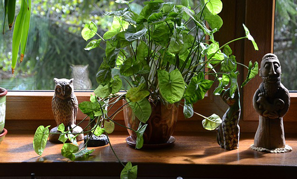 Plants and little sculpted figures on a window sill