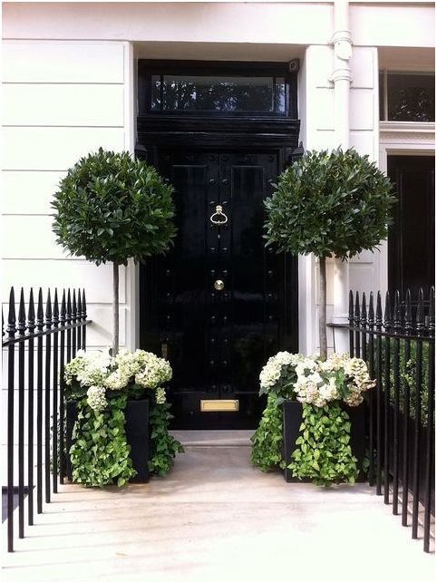 Pots and Plants at a Front Door