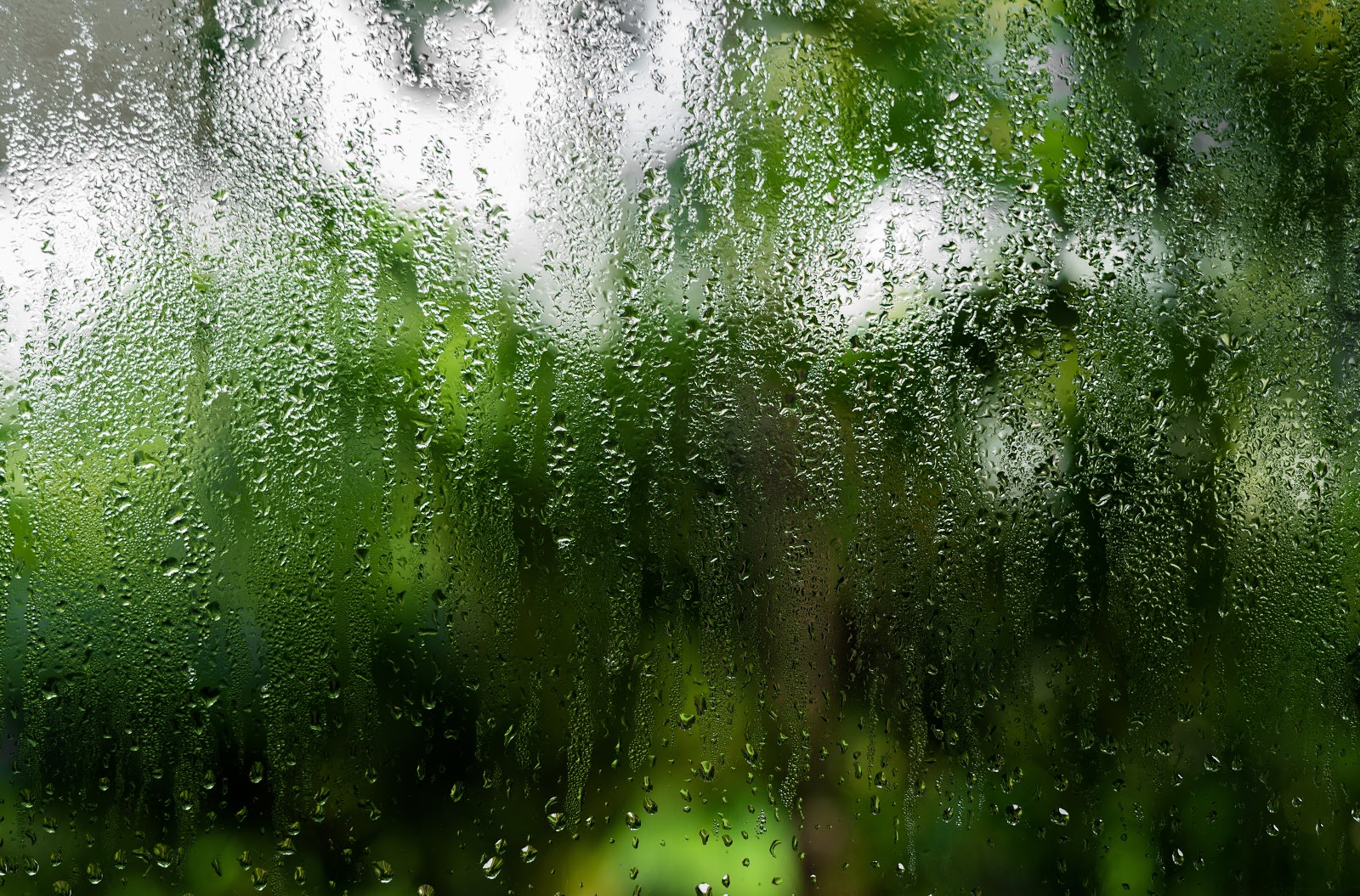 Prevent condensation between window panes
